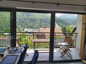 Apartament Marmurowy w Szczyrku z widokiem na góry z dostępem do sauny i jacuzzi, dwa miejsca parkingowe